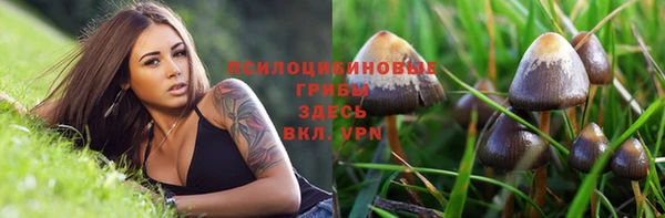 эйфоретик Дмитриев