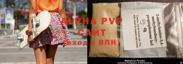 прущие грибы Дмитровск